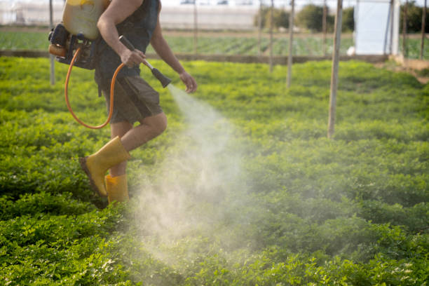 Best Best Pest Control Companies  in Prieton, NC