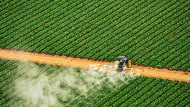 Best Ant Control Services  in Prieton, NC
